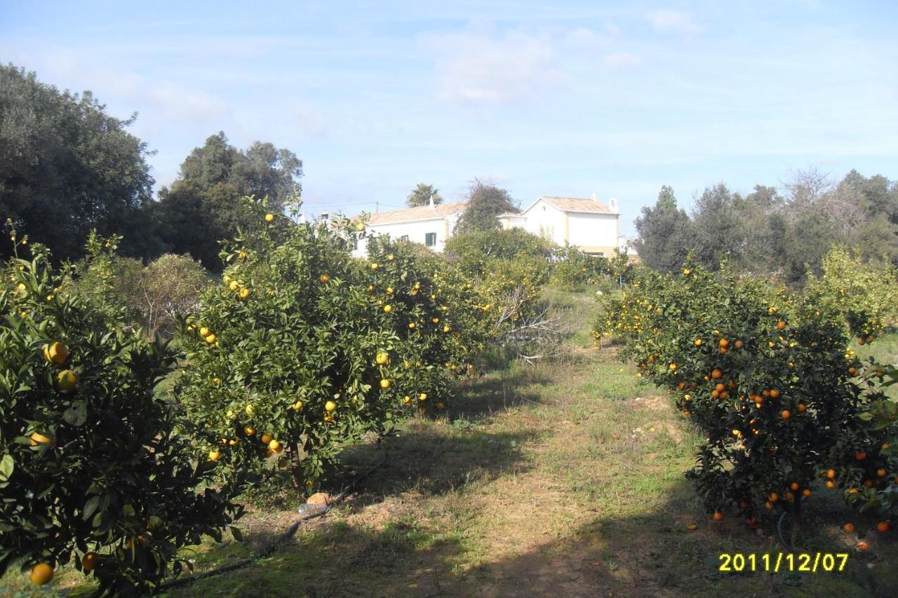 Monte Das Areias Casa De Campo/Passadico/Pateo/Rampa 珀彻斯 外观 照片
